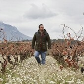 Jeromo, gajoarroba o mandón: las uvas casi desaparecidas que salvarán el vino en España