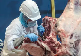 El cocinero más hábil de España despiezando y cortando animales trabaja en el zoo de Madrid