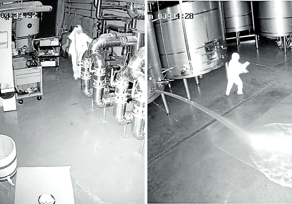 Imágenes de las cámaras de seguridad de la bodega Cepa 21 durante su sabotaje