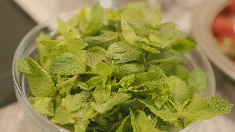 Bol lleno de menta, empleada para la receta