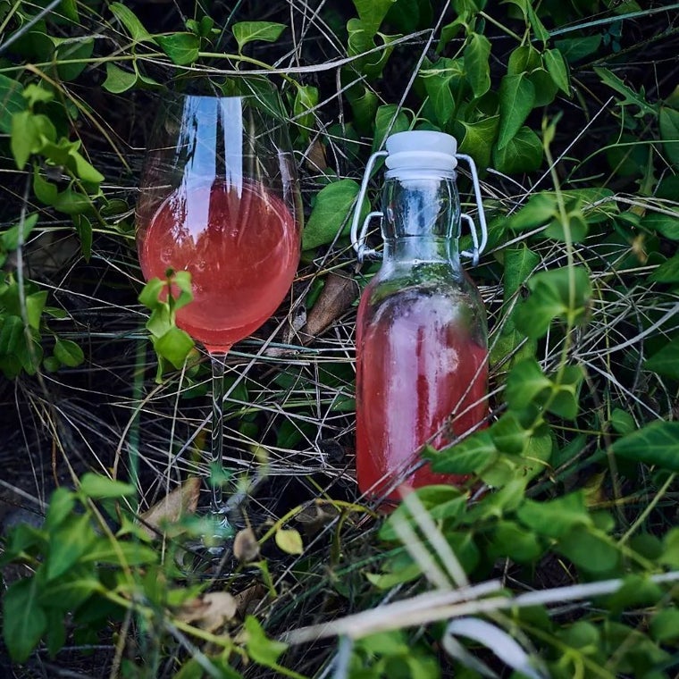 Soda de frutos silvestres de Oba, una armonía frutal