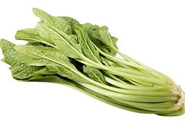 Borraja : historia de un error lingüístico para la reina invernal de la huerta aragonesa