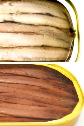 ¿Es lo mismo un boquerón que una anchoa? Espóiler: este 'matrimonio' tiene un solo cónyuge