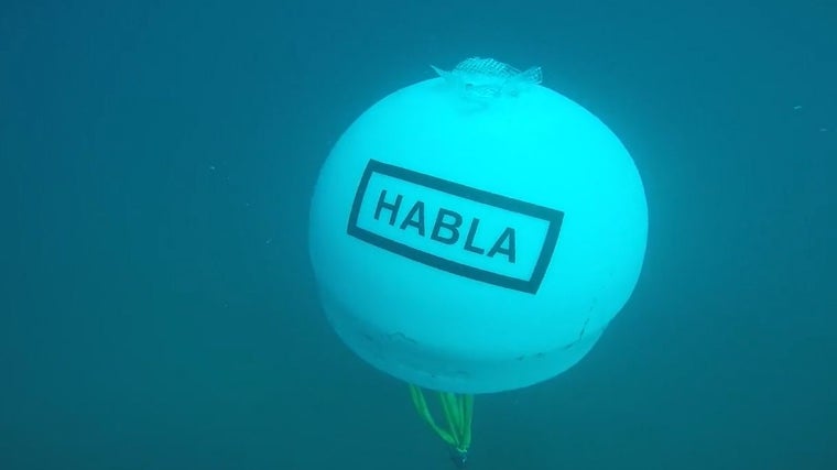 Habla del Mar…: una nueva categoría de vinos