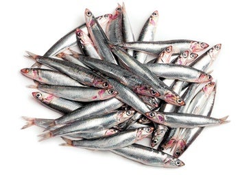 Anchoas, boquerones o bocartes, tres nombres para un pez
