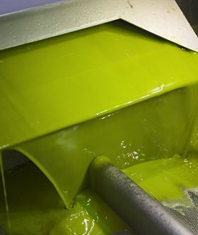 Imagen secundaria 2 - Instalaciones de Picualia en Bailén