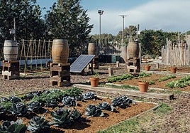 Su propia miel, café, frutas y verduras, huevos, embutidos y hasta la sal: así es el restaurante «radicalmente sostenible» y con una estrella Michelin del Penedés