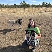 Imagen - Sin rentabilidad no habrá relevo generacional ni futuro rural.