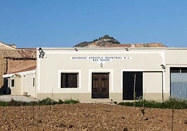 Vizcota, un ancestral que reivindica la uva merseguera desde las alturas