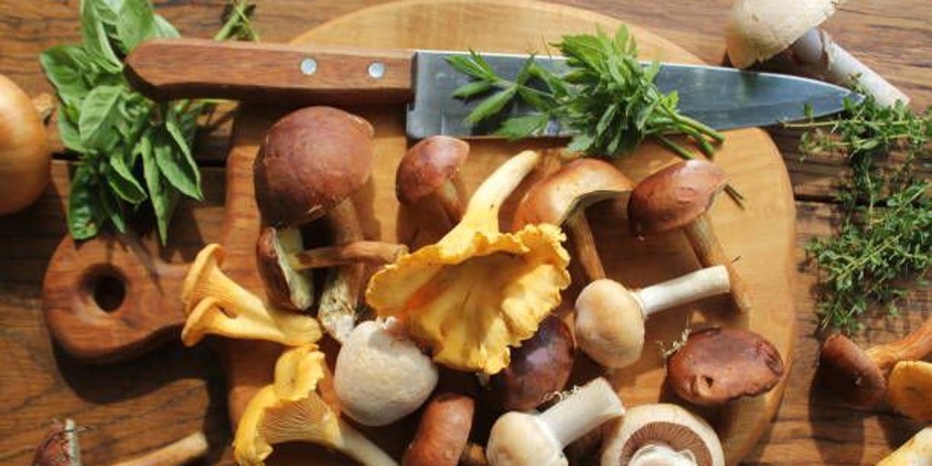 Setas, una joya de la naturaleza