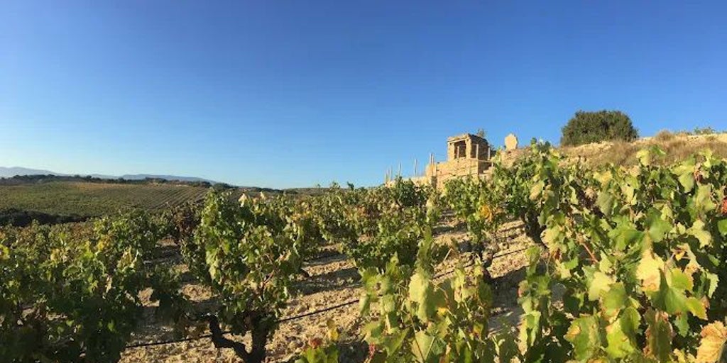 El Abrigado 2020, una historia familiar que se embotella en Rioja Alavesa