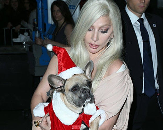 21 años de cárcel para el hombre que disparó a un empleado de Lady Gaga