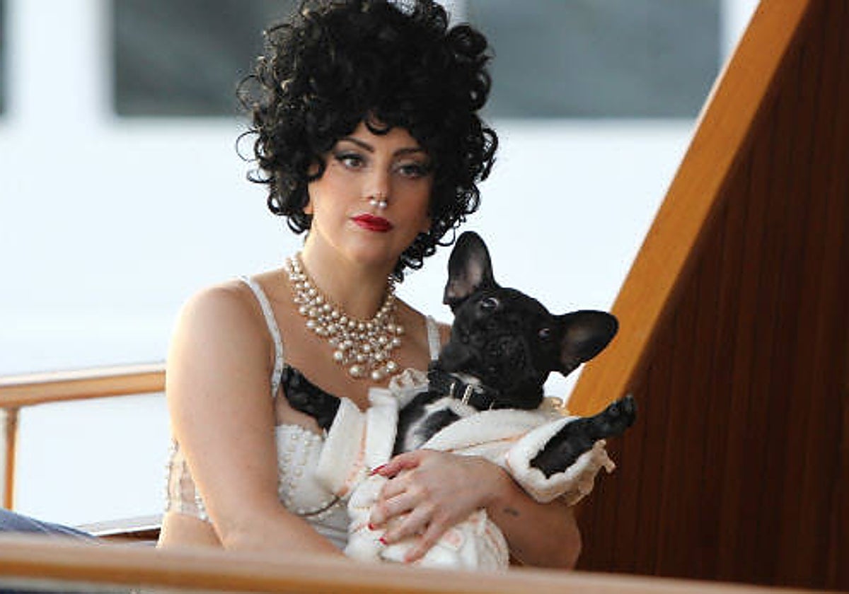 Lady Gaga junto a uno de sus perros