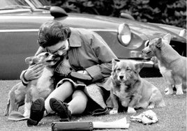 Así están los perros de la Reina Isabel II, tres años y medio después de su muerte