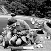 Así están los perros de la Reina Isabel II, tres años y medio después de su muerte