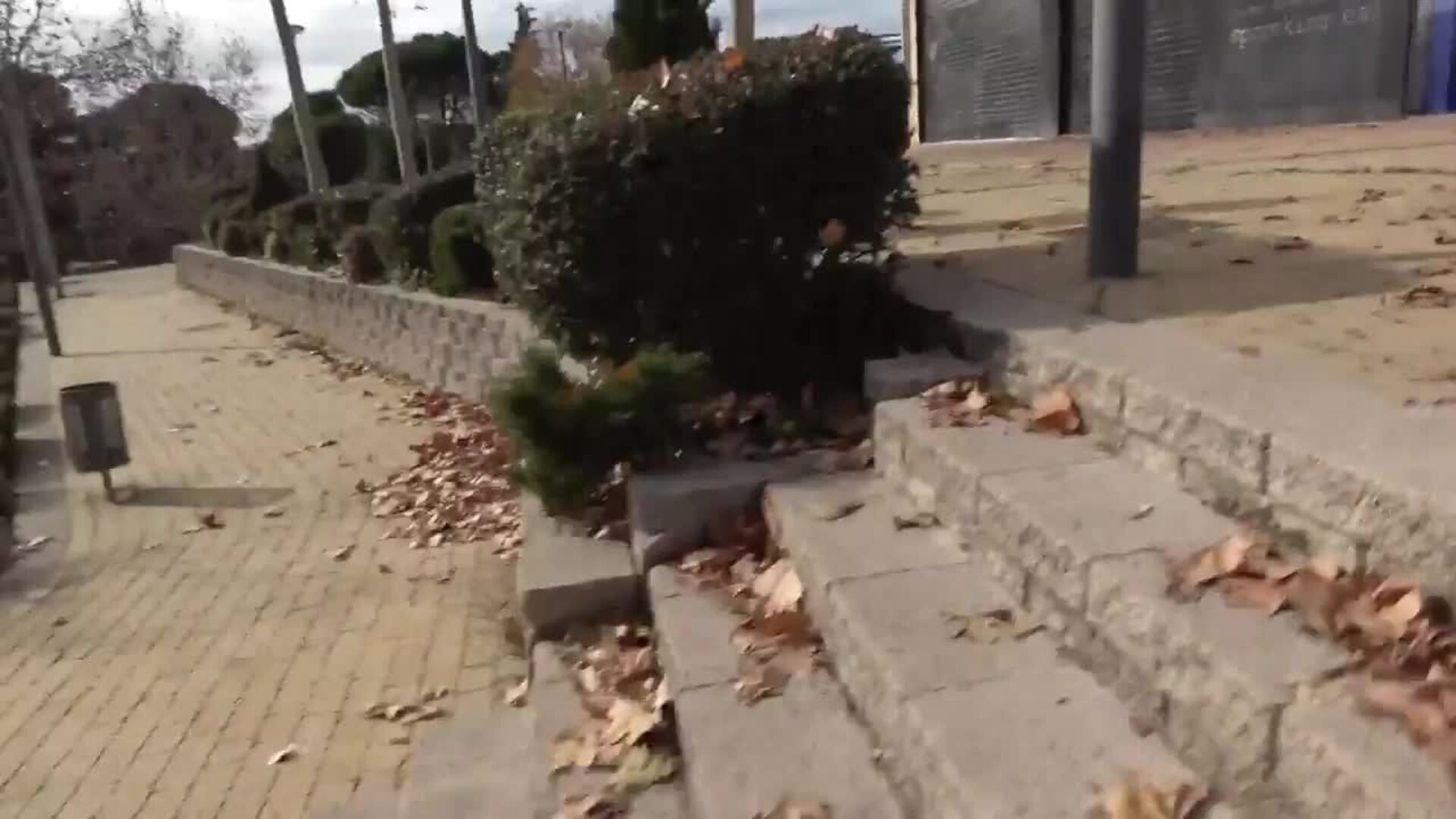 Carlo Costanzia, con la cabeza alta tras la elevada condena de cárcel de sus hermanos