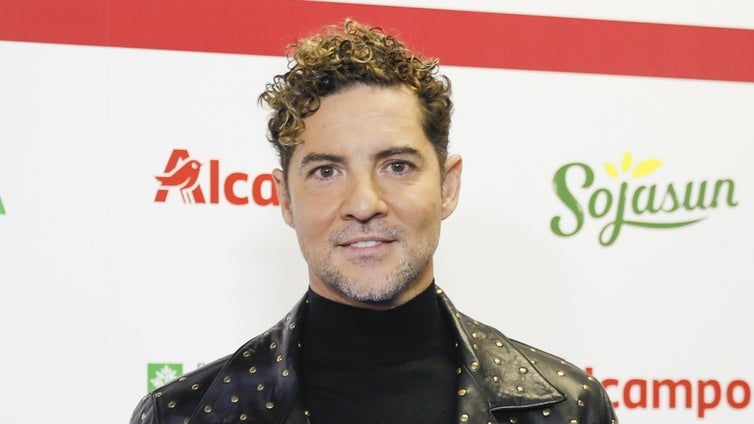 Una tortilla 'enfrenta' a David Bisbal y a su mujer Rosanna Zanetti