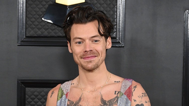 Harry Styles se lanza al mercado de juguetes sexuales