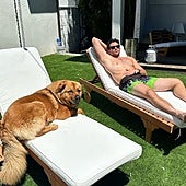 Un streamer, acusado de poner un collar eléctrico a su perra y suministrarle descargas para que no se moviese durante el vídeo