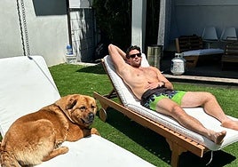 Polémica viral: un streamer, acusado de poner un collar eléctrico a su perra y suministrarle descargas para que no se moviese durante el vídeo