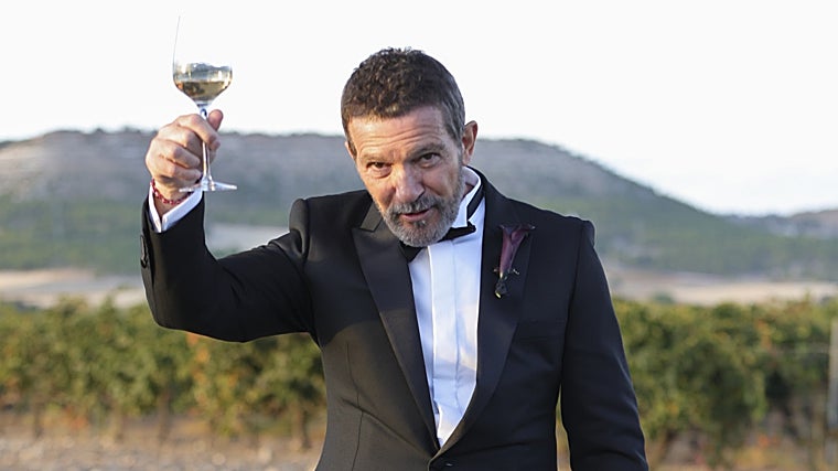 Las primeras imágenes de la boda de Stella del Carmen y Alex Gruszynski