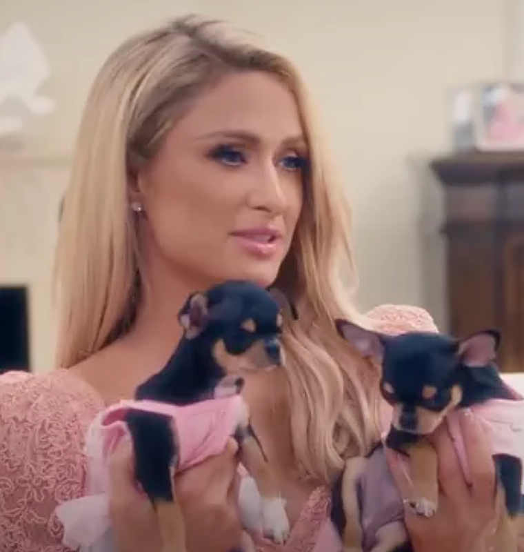 Paris Hilton con su chihuahuas clonados