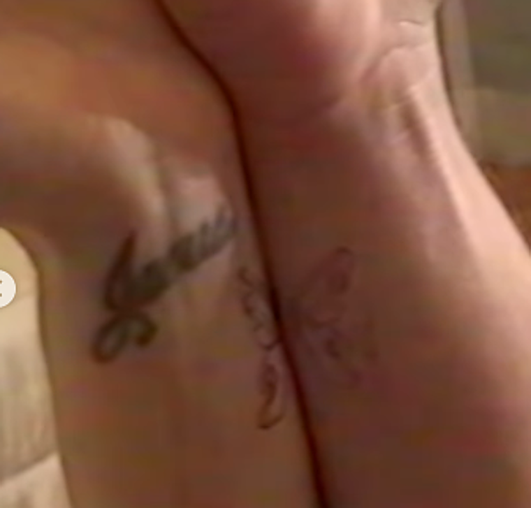 Los dos lados de la mariposa de Katy