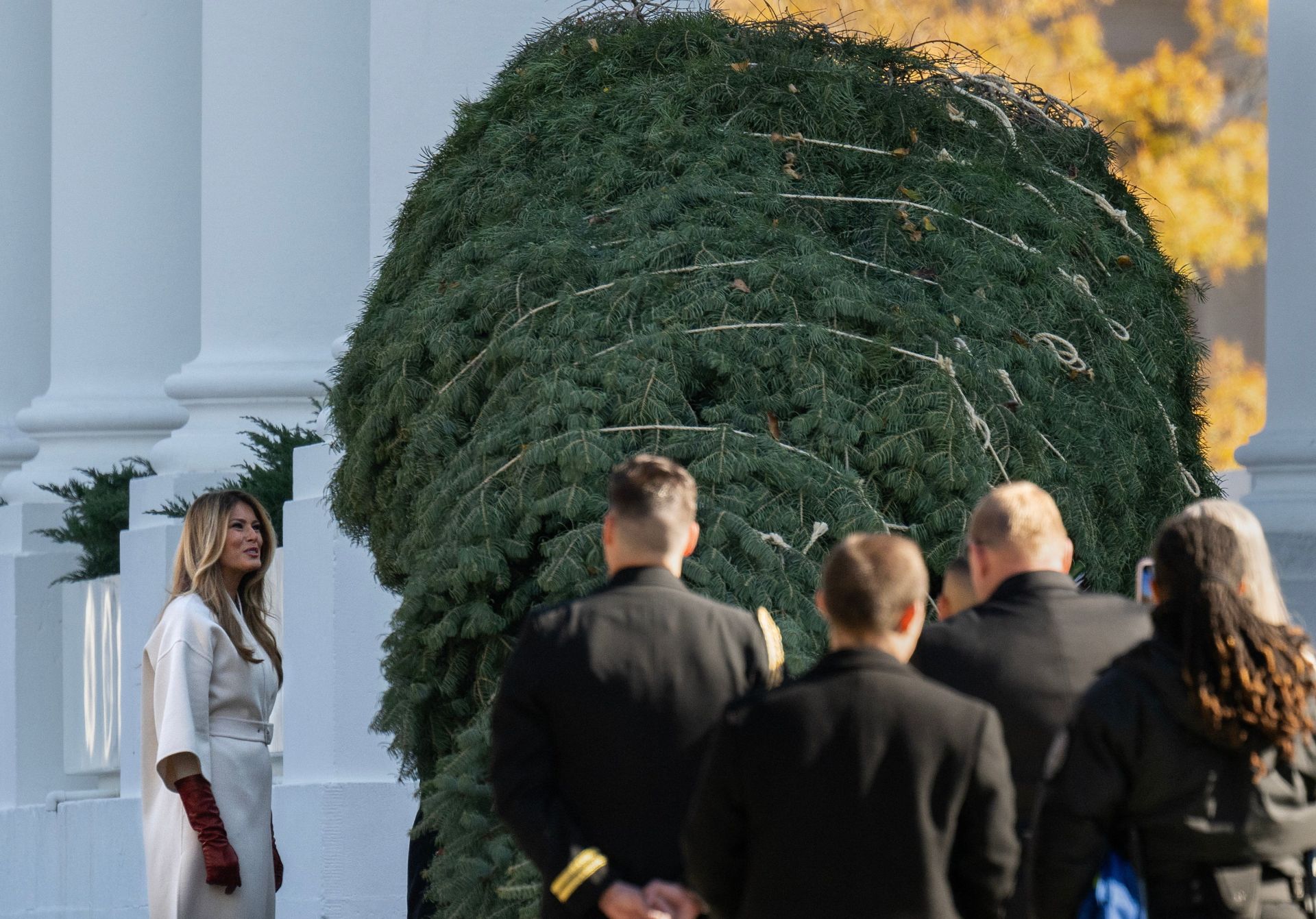Melania Trump observa la dimensión del árbol de Navidad para la Casa Blanca. 
