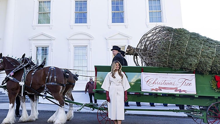 Melania Trump inaugura la Navidad con la llegada del árbol a la Casa Blanca