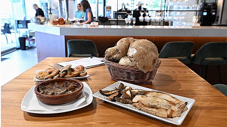 Blanco Martín: el bar famoso por sus setas rejuvenece tras una profunda reforma