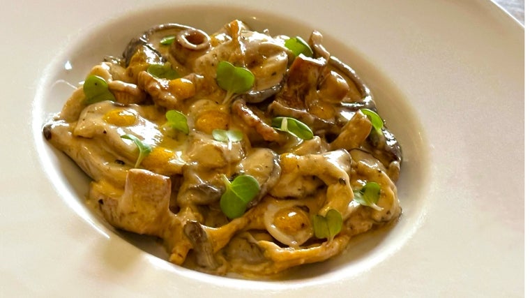 Salteado de chantarelas, angulas de monte, níscalos y boletus de pino con crema de nata, trufa de otoño, lima, soja y toques de yema tostada.