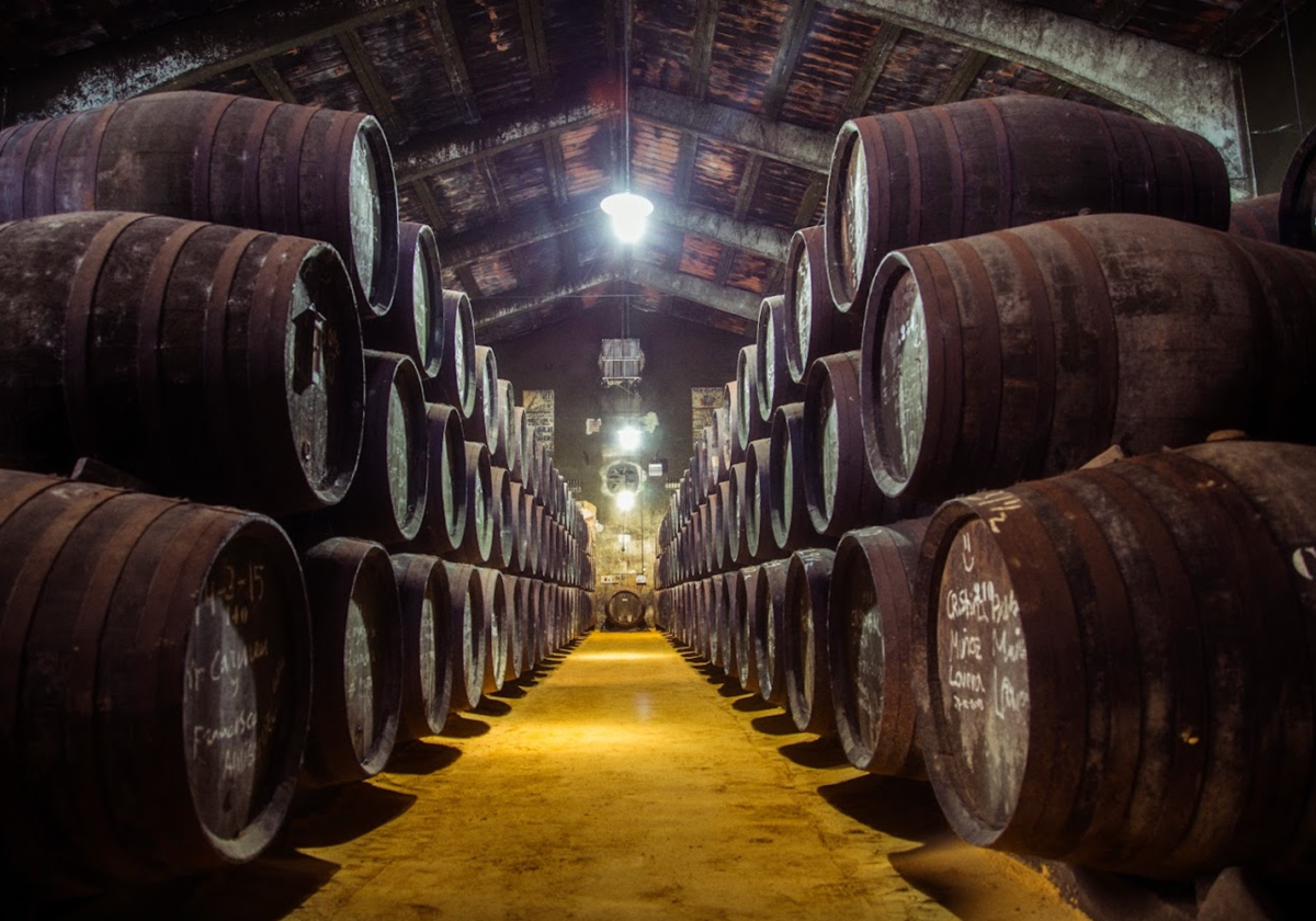 Bodega Toro Albalá consigue la máxima puntuación en la Guía de Vinos Gourmets 2025