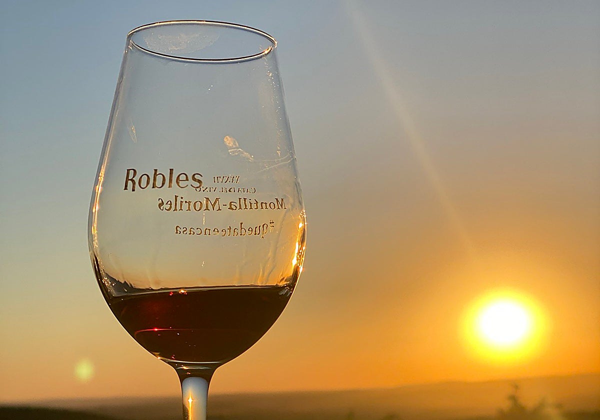 Robles Pedro Ximénez 1927, un dulce legado entre los mejores vinos de España 2024