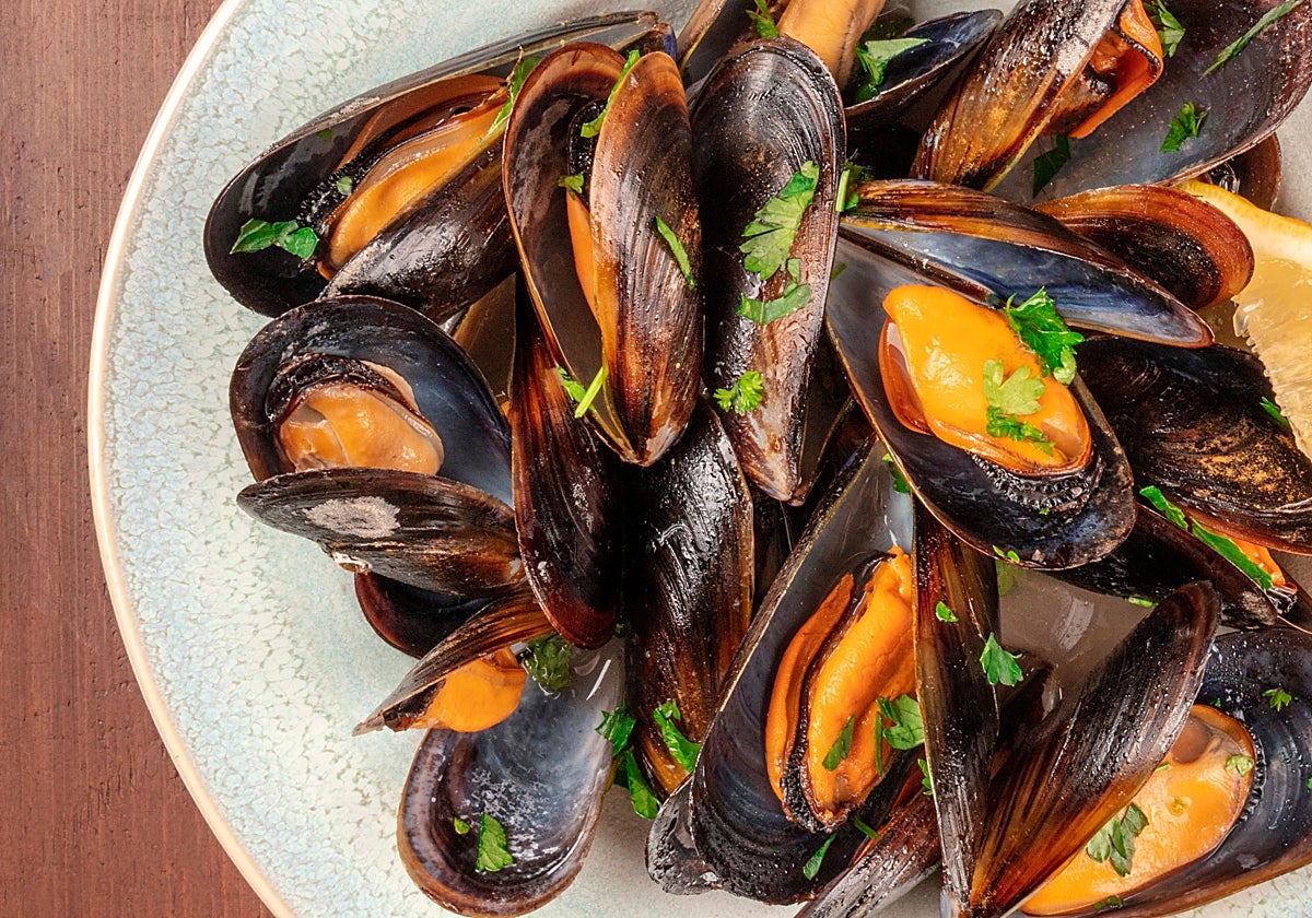 Mejillones al vapor + ensalada de col, manzana verde, zanahoria, salsa yogurt y vasito de avena Brillante
