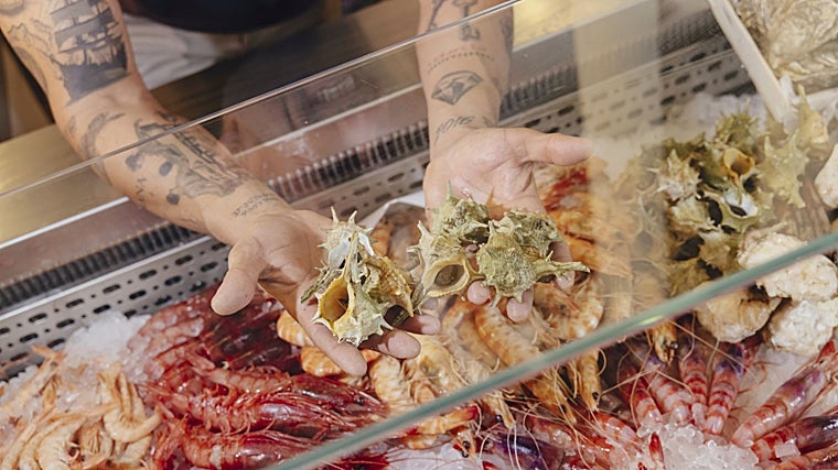 Baturrones, la apuesta marinera de Ovejas Negras junto a las Setas de Sevilla