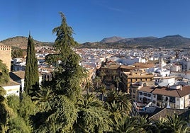 Bares con encanto en Cabra: los más recomendados para tapear