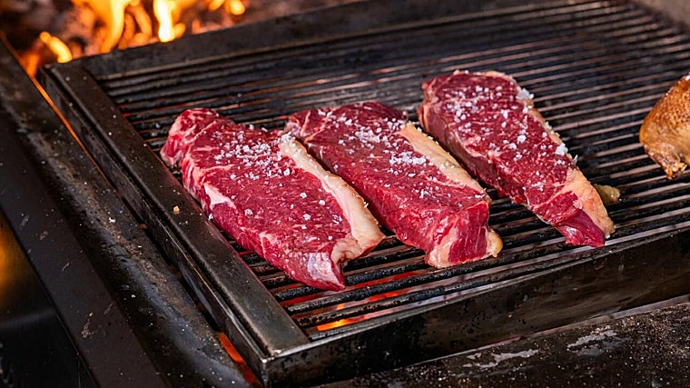 Carnes a la brasa de Aviva