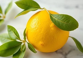 Cuáles son las propiedades curativas del limón