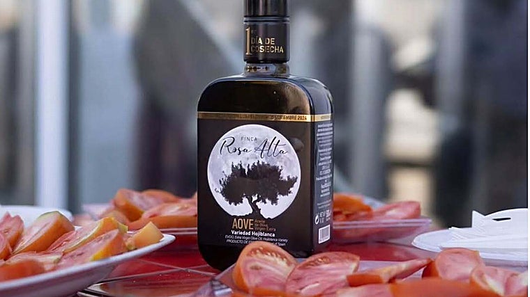 Los mejores aceites de oliva de Málaga: un recorrido por los AOVEs más singulares de la provincia