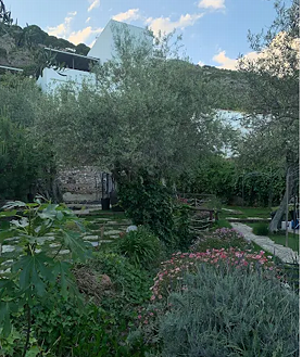 Imagen secundaria 2 - El restaurante ofrece una agradable terraza rodeada de vegetación