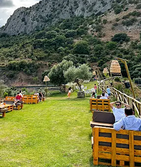 Imagen secundaria 2 - El gato verde es su terraza de verano
