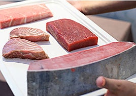 Sevilla se convierte en capital mundial del atún: así será la cumbre internacional que reunirá a 60 países