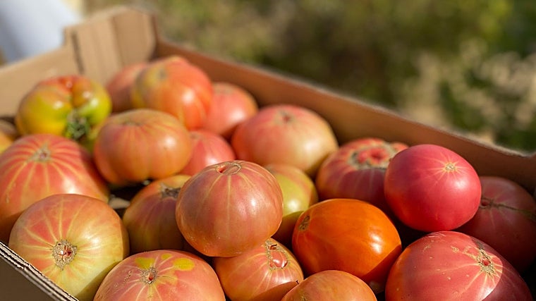 Caja de tomates rosas de Alcolea