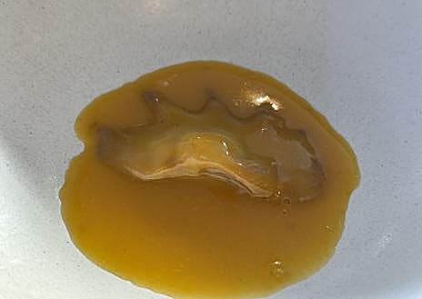 Segunda Imagem 1 - Lula, Pimentão Verde Assado, Fava Marinada, Almôndega de Atum e Cabrito Assado.