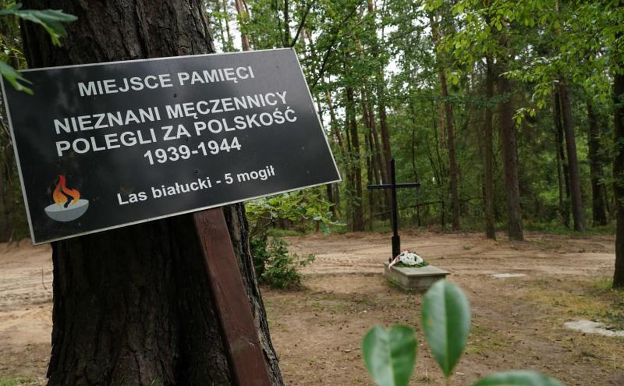 W Polsce znaleziono szczątki 8000 ofiar nazistowskiego terroru