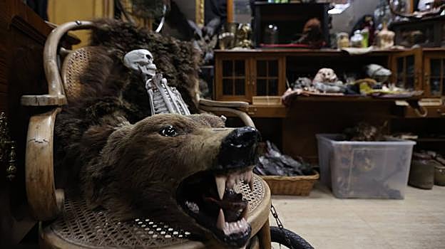 Animales disecados, palomas muertas... la cueva de los horrores es una de las atracciones más destacadas del lugar