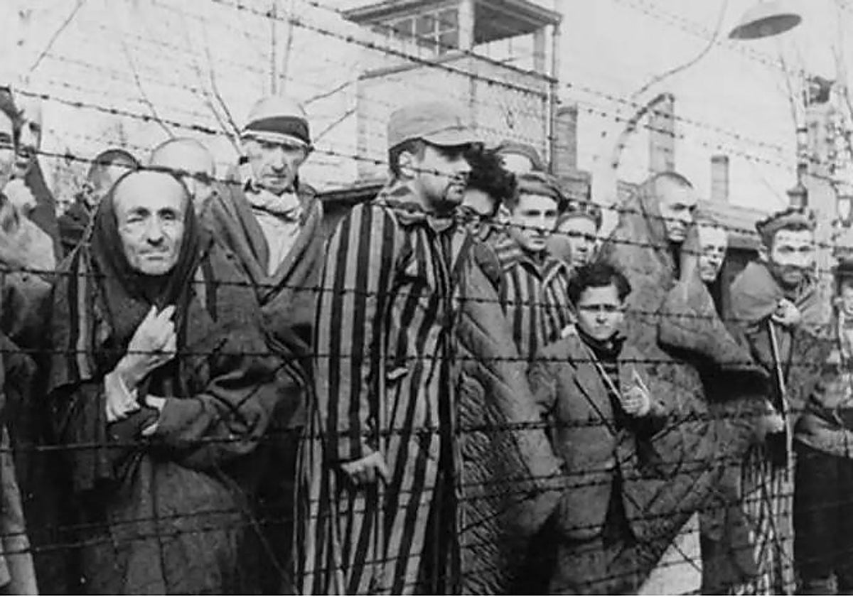 Carta abierta contra el Gobierno de Israel por usar la «barbarie» del Holocausto para justificar la guerra en Gaza