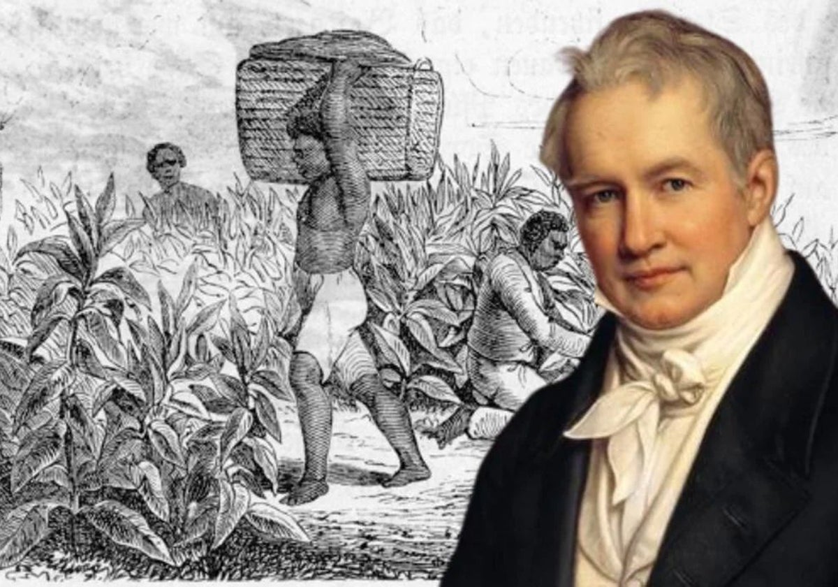 Montaje de Joseph Stieler en el que aparece Humboldt, sobre una plantación de tabaco en Cuba de 1840