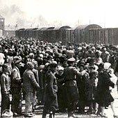 La máquina del exterminio «fue peor de lo que creemos»