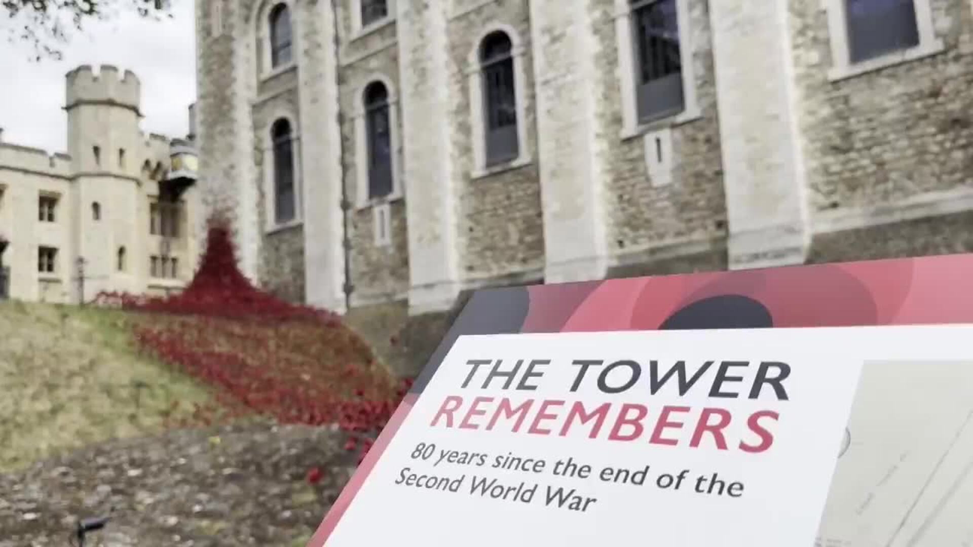 La Torre de Londres se llena de amapolas para conmemorar el 80 aniversario de la IIGM